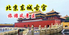 美骚妇操逼你中国北京-东城古宫旅游风景区